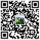 为什么篮球传说的训练方法能帮助你快速进步_2